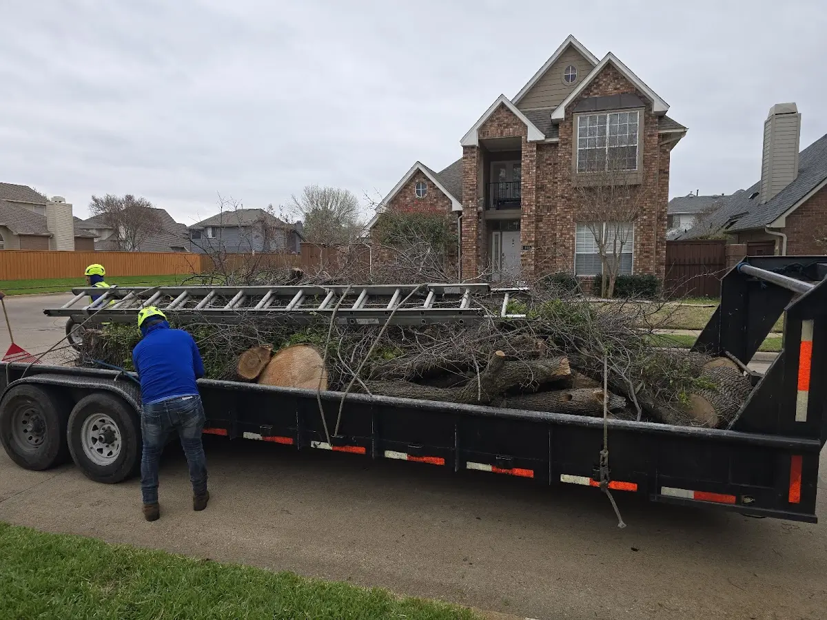 Expert Tree Fertilization with proper safety equipment in Fifield